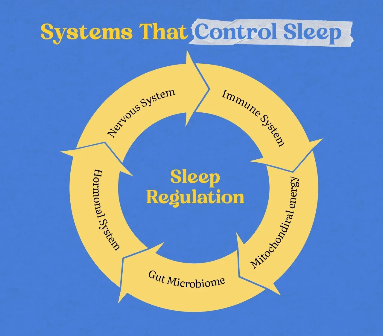 Why You Sleep 8 Hours and Still Wake Up Tired: A Functional Nutrition Look at Sleep Disorders