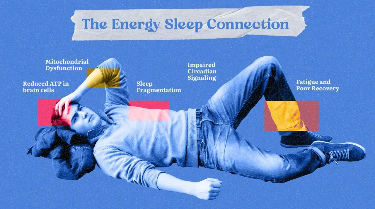 Why You Sleep 8 Hours and Still Wake Up Tired: A Functional Nutrition Look at Sleep Disorders