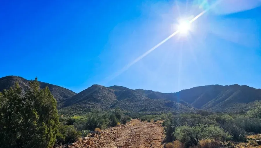 Bufo Alvarius Ceremony Las Vegas: The Fastest Path in Psychedelic Retreats