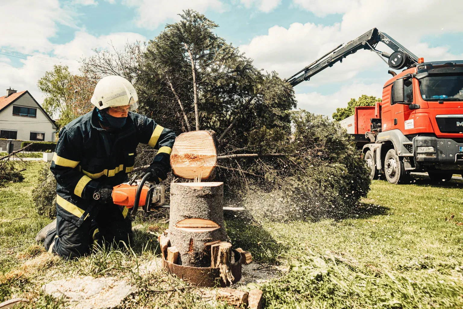 Dead, Diseased, or Overgrown? When Tree Cutting Becomes Absolutely Necessary