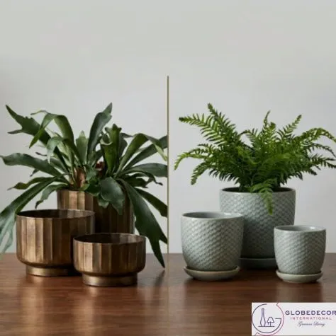 Modern Planters 101: Metal vs. Ceramic Explained