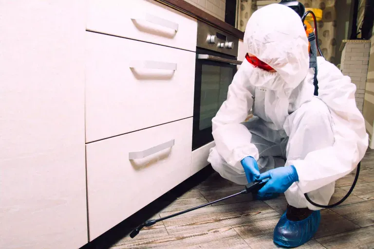 Pest Control Orangeville: A Smarter Way to Keep Your Property Pest Free