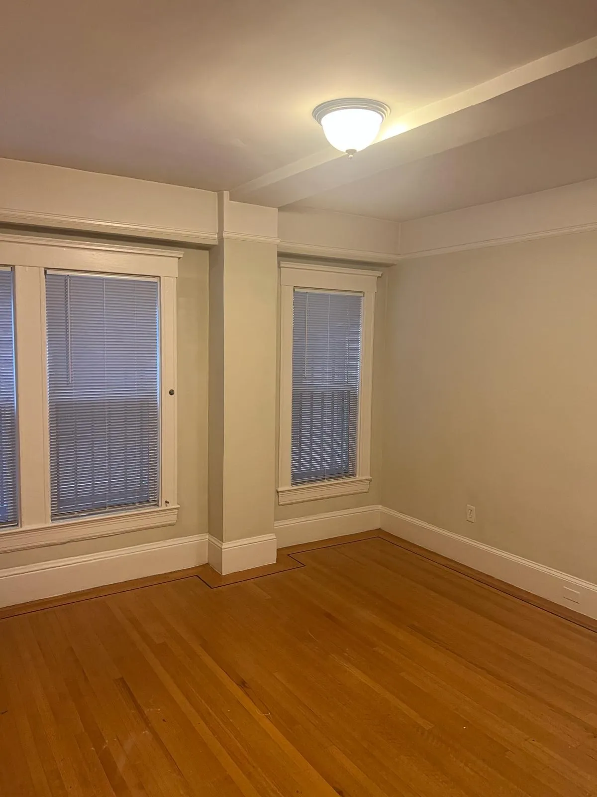 Berkeley Living Made Easy: Furnished Options and South Berkeley Value