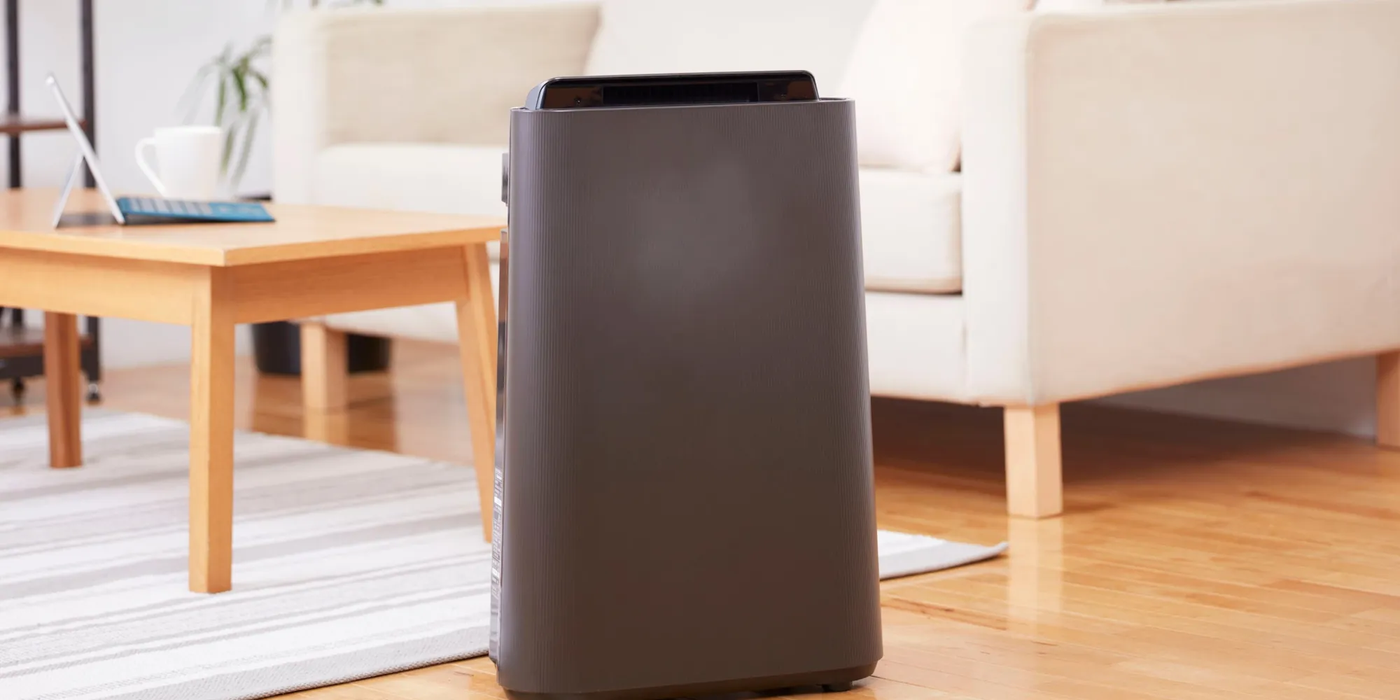 Can a HEPA Filter Air Purifier Remove Microplastics?