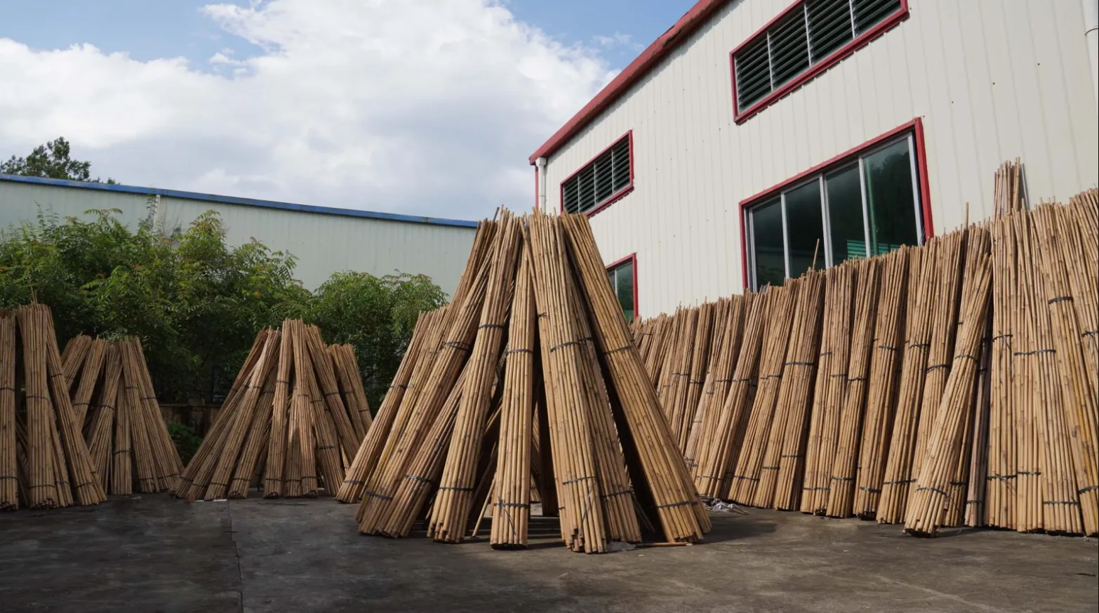 How Can You Verify a Custom Size Bamboo Cane Supplier Before Ordering?