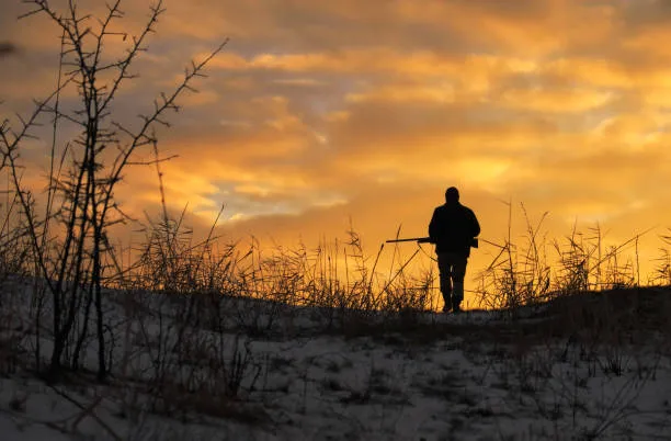 How Seasonal Hunting Opportunities Vary Across Different Regions