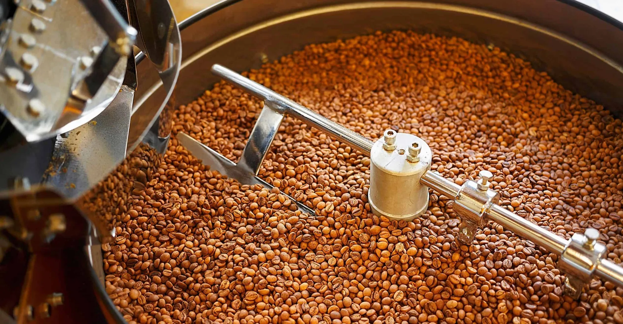 How to Find a Reliable Tea Supplier in India for Bulk B2B Orders