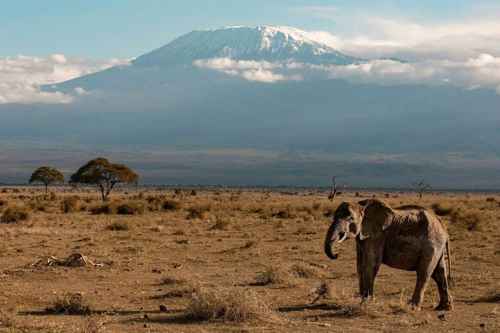 A Day in the Life on a Tanzania Budget Camping Safari: From Sunrise Game Drives to Bush Dinners
