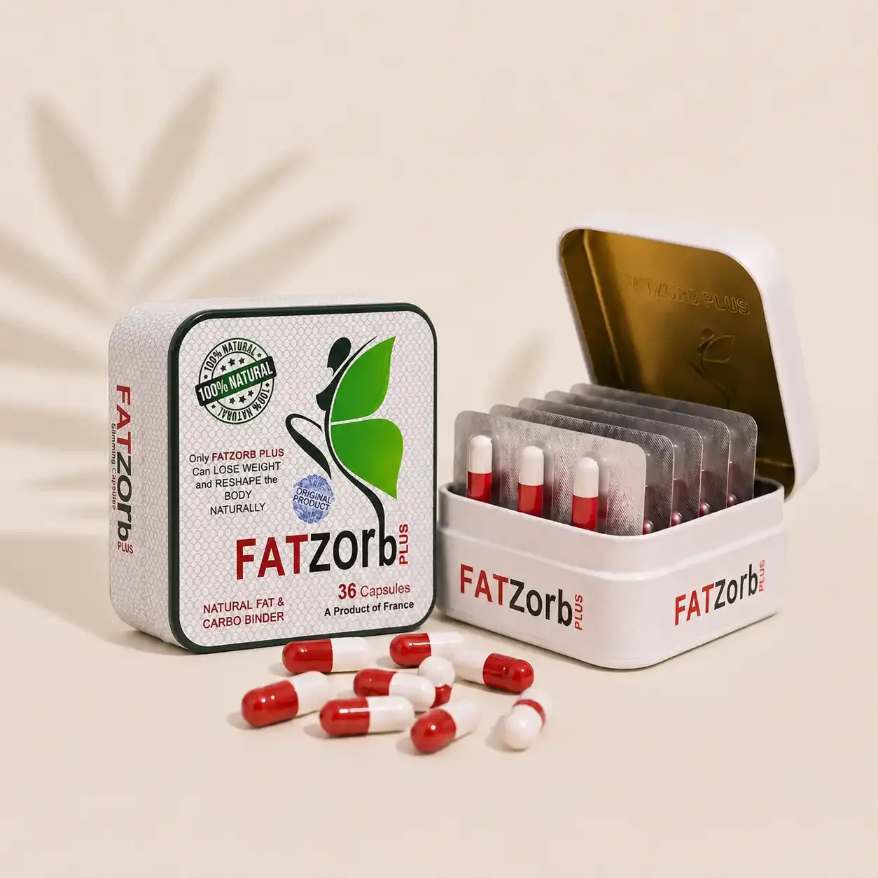 Fatzorb Price: What You Should Expect to Pay Before Buying