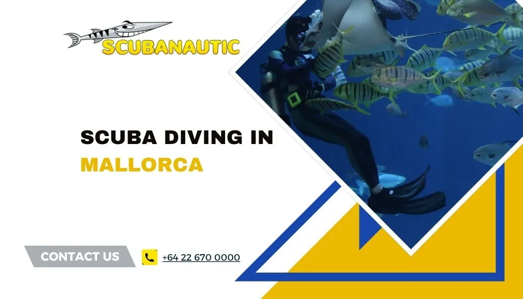 Scuba Diving in Mallorca: The Ultimate Guide for Beginners and Certified Divers