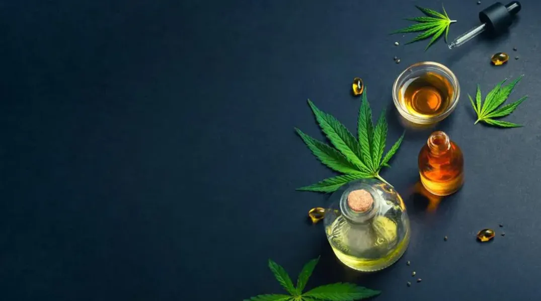 How Plant-Based Oils Contribute to Everyday Wellness
