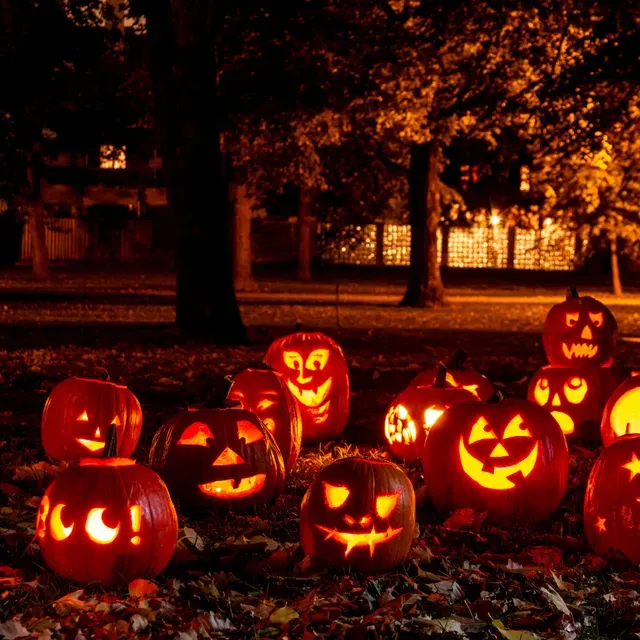 Why Halloween Still Captures the Spirit of the Season?