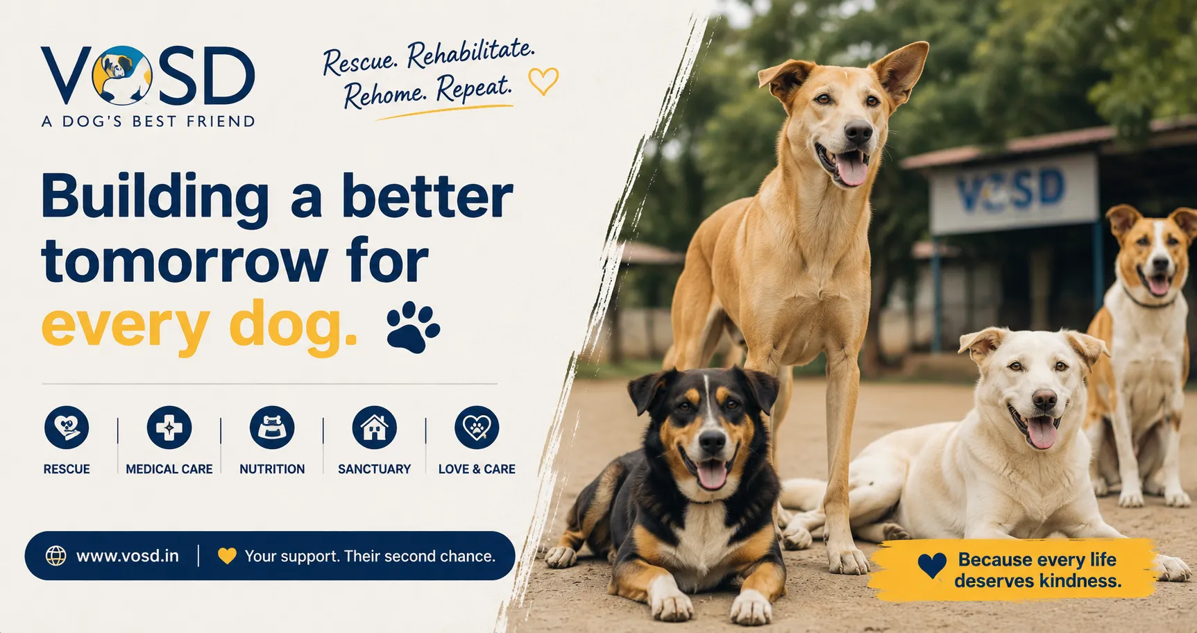 What to Do When a Stray or Abandoned Dog Needs Help