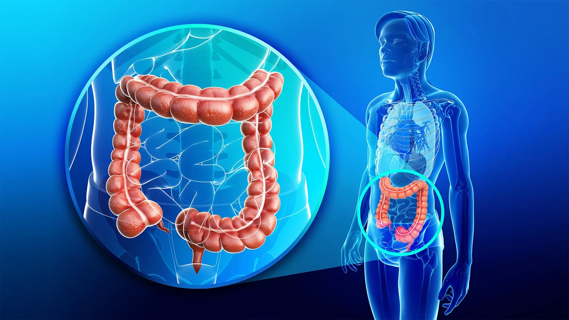 Colon Hydrotherapy in Dubai for Better Digestion