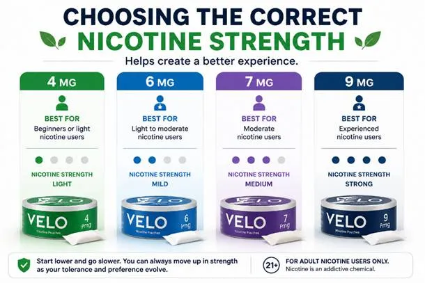 Best VELO Nicotine Pouches in 2026: Buyer's Guide | USA NICO