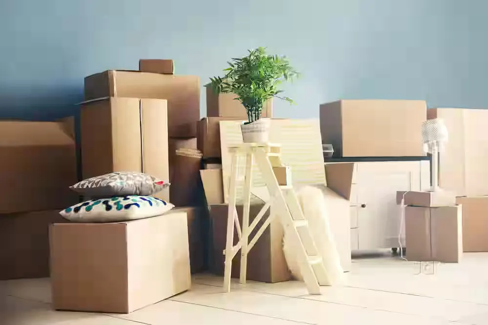 Services & Perks You Should Look for in Packers and Movers Lucknow
