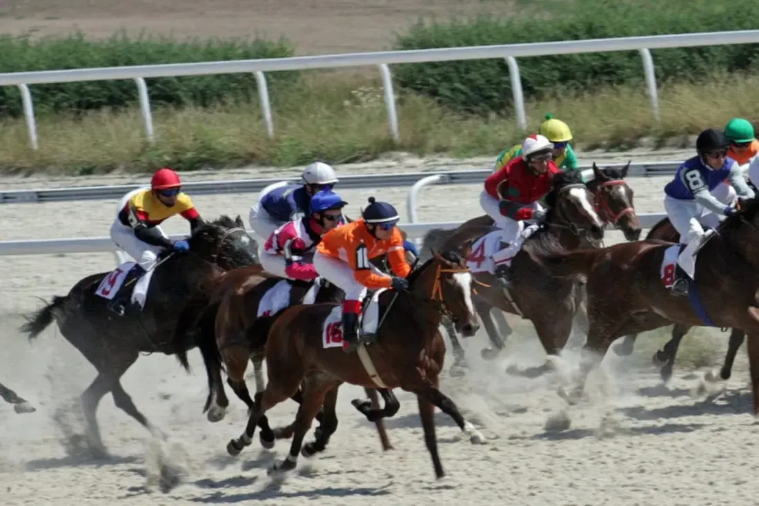 How Horse Racing System Builder Software Can Improve Your Betting Strategy