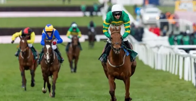 How Horse Racing System Builder Software Can Improve Your Betting Strategy