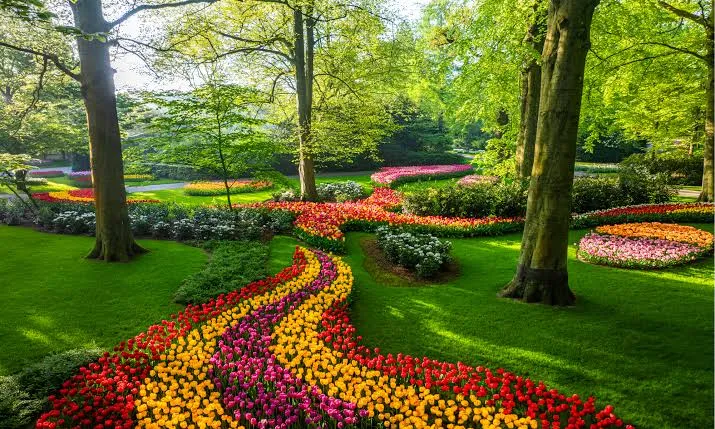 Smart and Efficient Ways to Collect My Garden Waste Without the Hassle