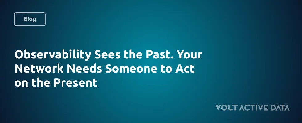 Observability Shows You the Past. Your Network Needs Action in the Present