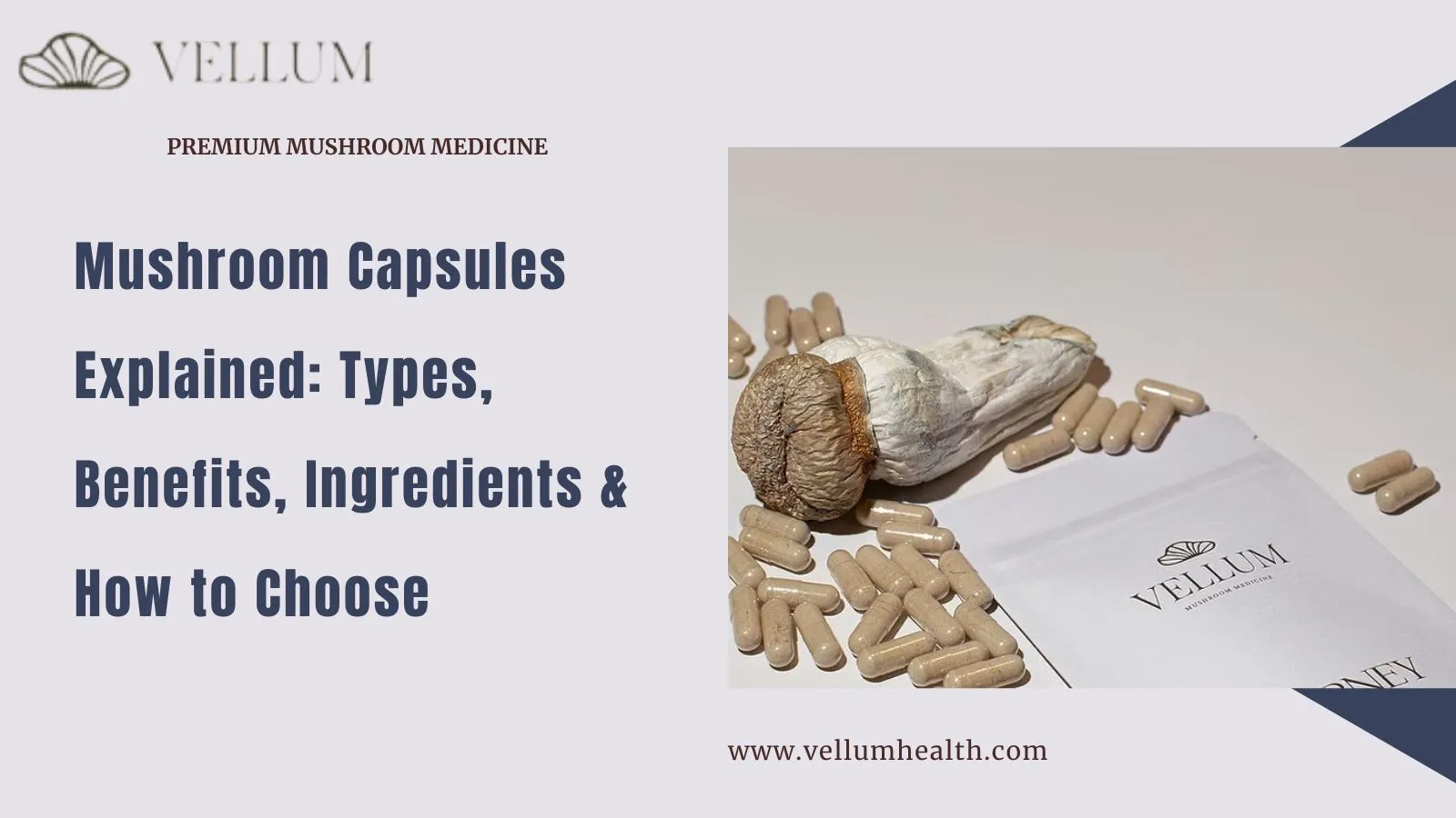 Mushroom Capsules Explained: Types, Benefits, Ingredients & How to Choose