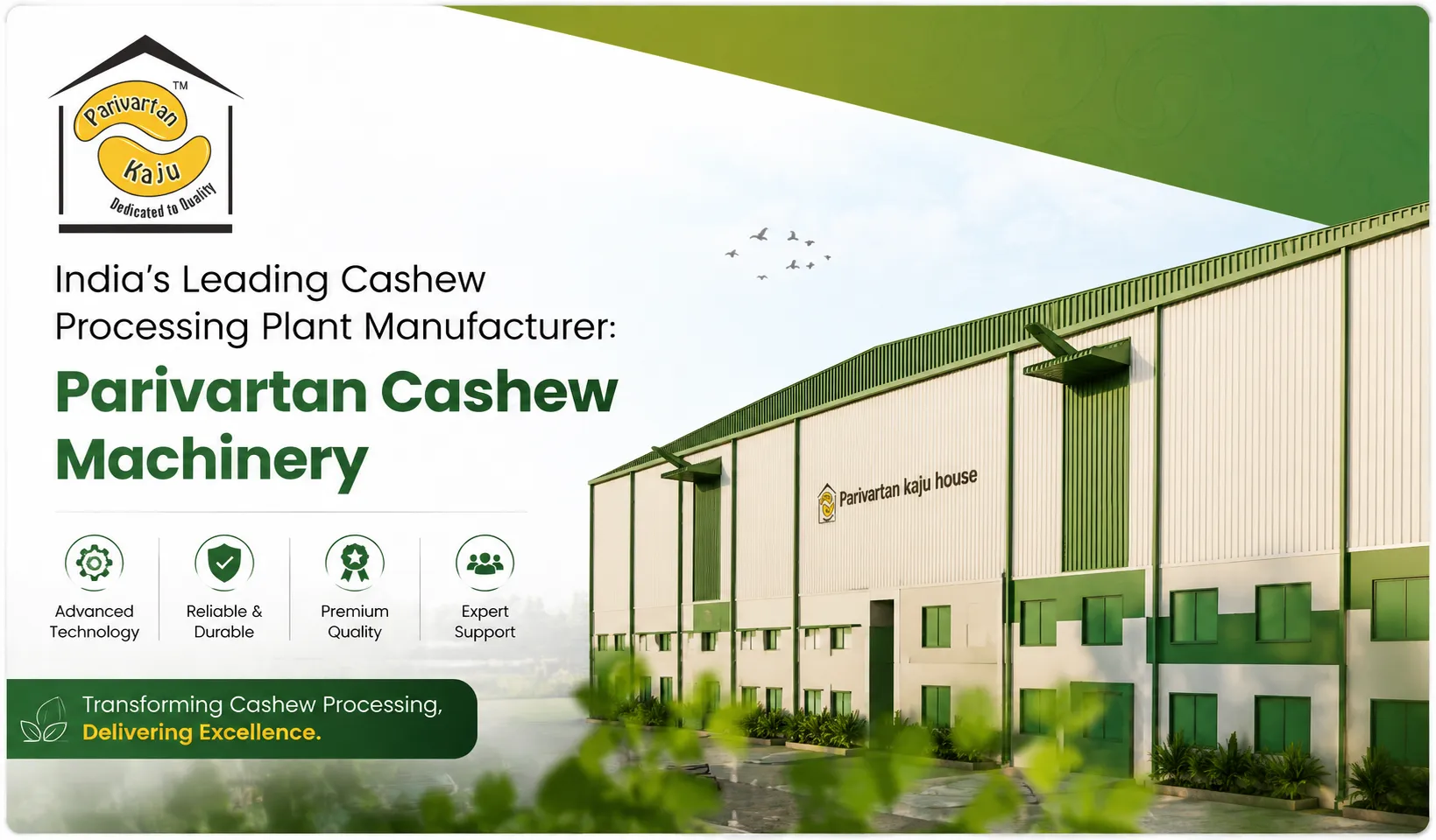 How Automation is Transforming the Cashew Processing Industry