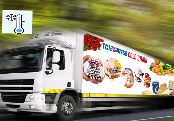 Cold Chain Logistics: Safeguarding Temperature-Sensitive Shipments