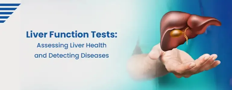Liver Function Test in Hyderabad: Understanding LFT Parameters, Uses and Preparation