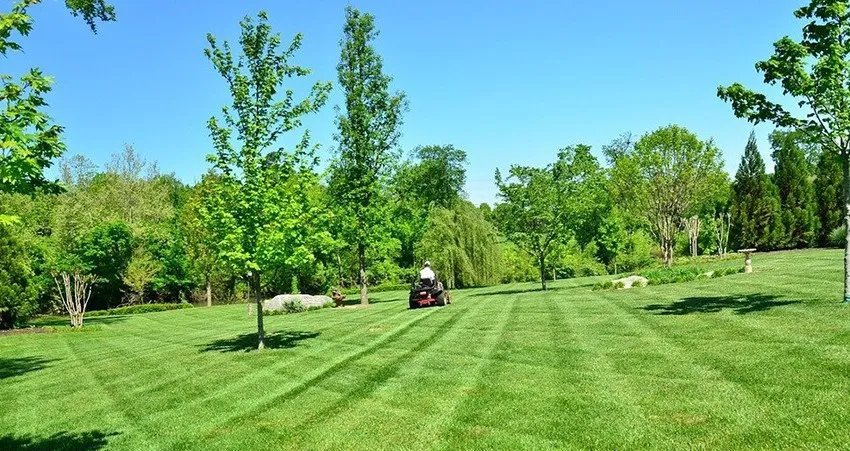 How to Choose the Best Lawn Care Company in Byron Center, MI