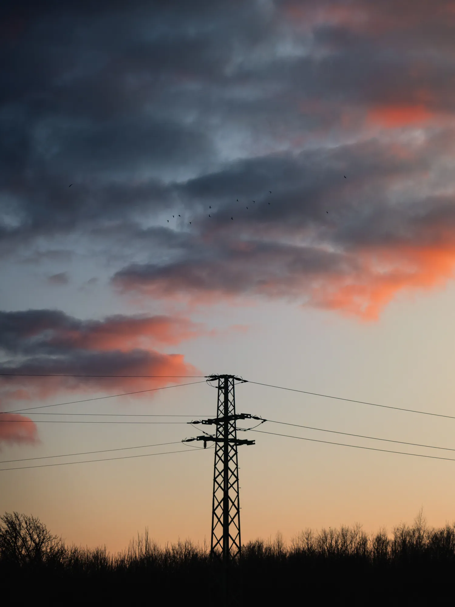 The Top Suburbs for Solar Around Newcastle, Maitland and Port Stephens