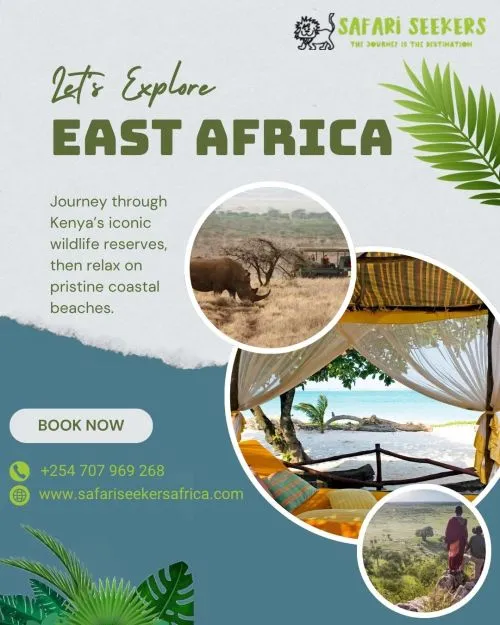 How East Africa Turns Every Safari Into an Extraordinary Wildlife Journey