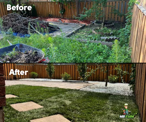 Essential Tips for Maintaining a Balanced and Healthy Landscape