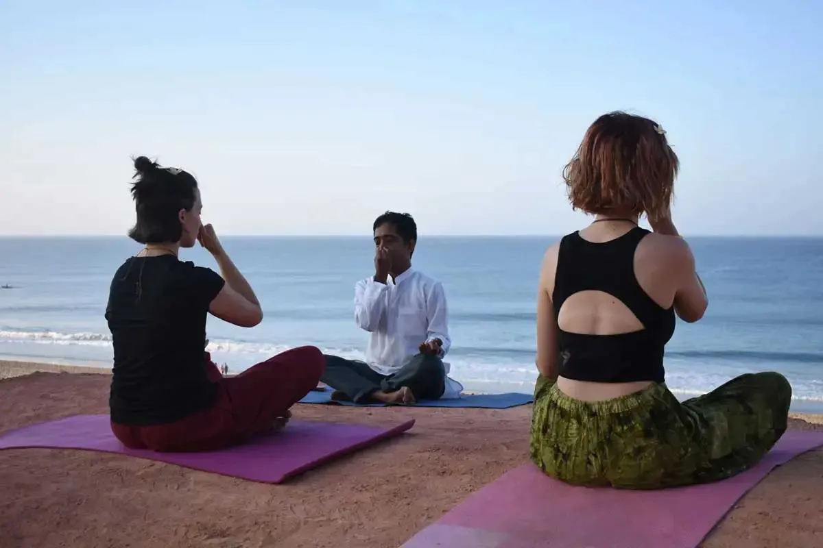 Yoga Retreat Kerala: A Complete Guide to Yoga Styles, Best Time to Visit & Ayurveda Healing