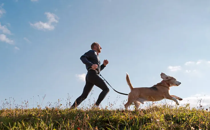 Can Hiring an Experienced Dog Runner Boost Your Pets Longevity