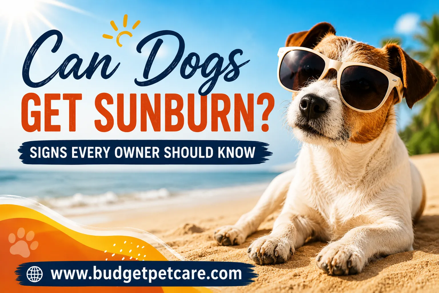 Can Dogs Get Sunburn? Signs, Prevention & Pet-Safe Sunscreen