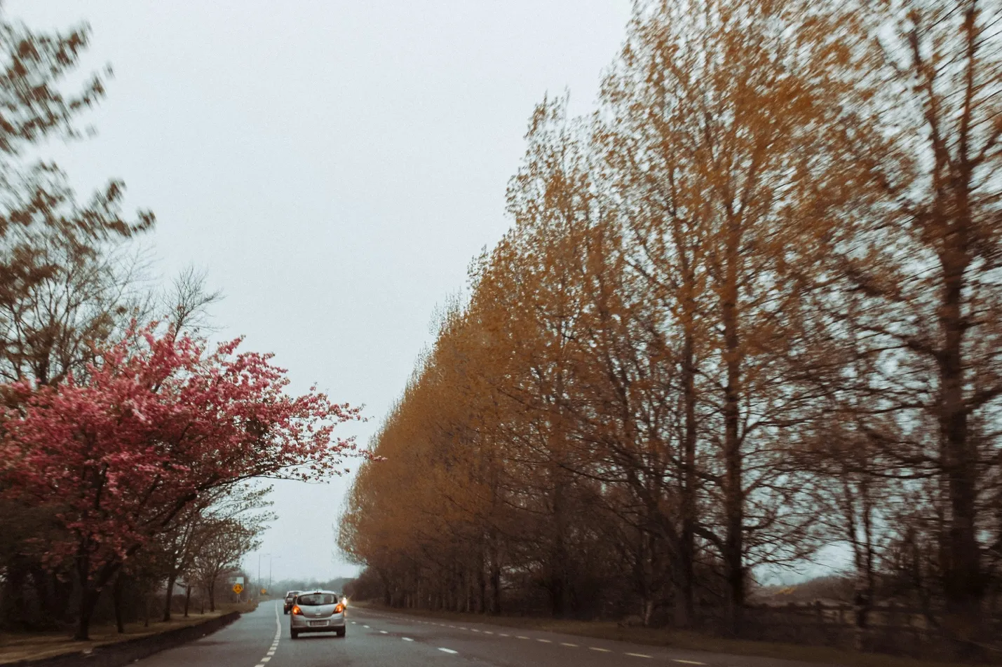 Why Self-Drive Holidays Are the Best Way to Experience Ireland's Hidden Landscapes