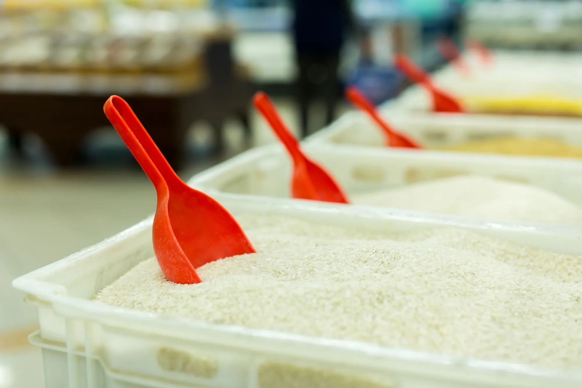 Indian Rice in UK: Best Varieties for Authentic Indian Cooking
