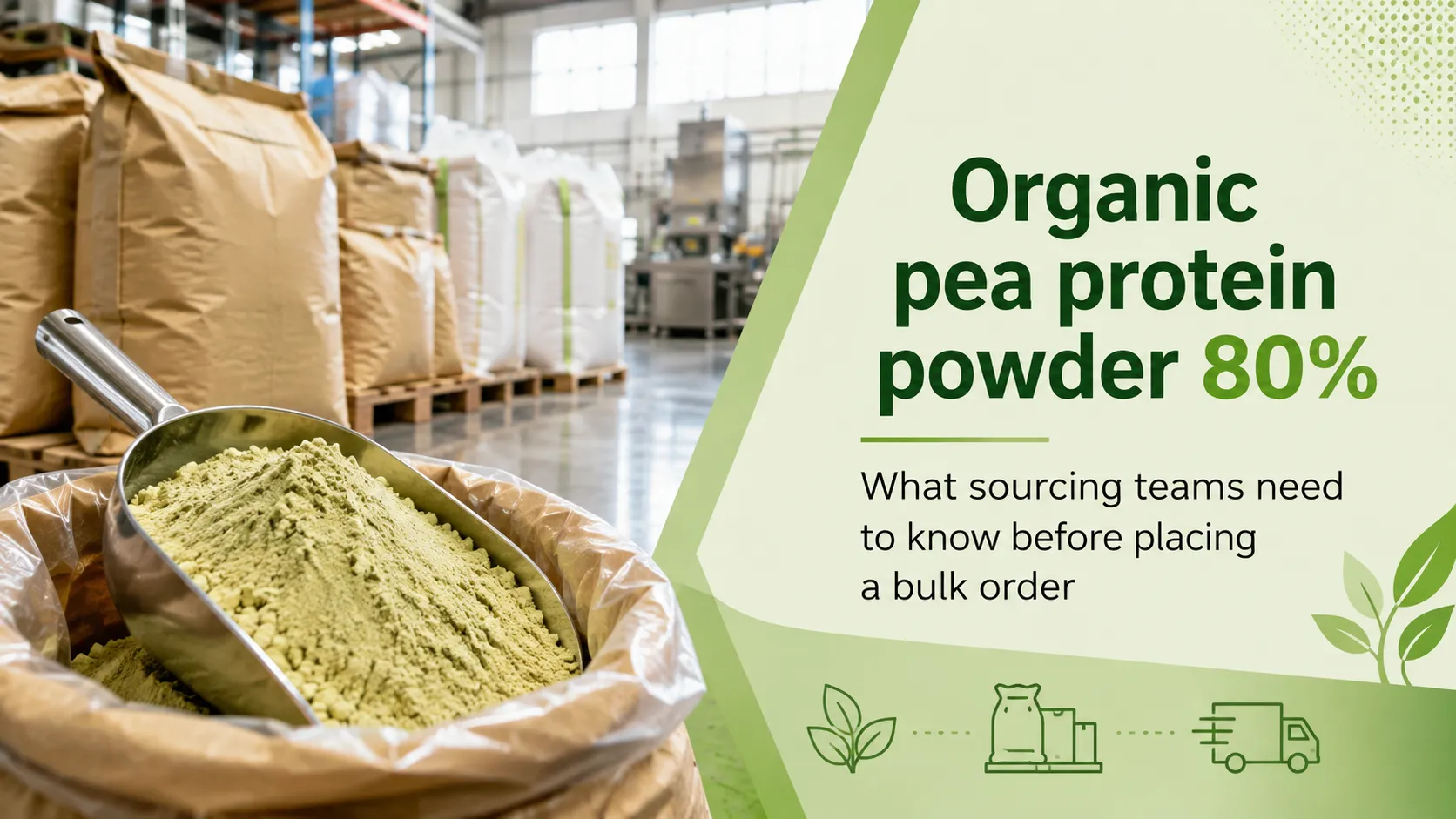 Organic Pea Protein Powder 80%: What Sourcing Teams Need to Know Before Placing a Bulk Order