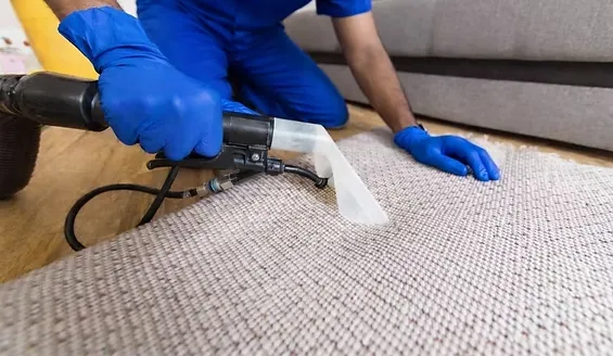 Combating Coastal Humidity and Preventing Indoor Mildew