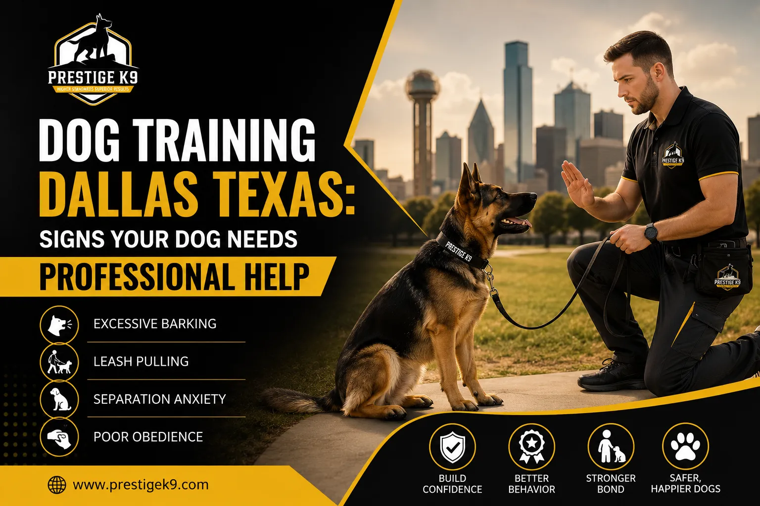 Dog Training Dallas Texas: Signs Your Dog Needs Professional Help