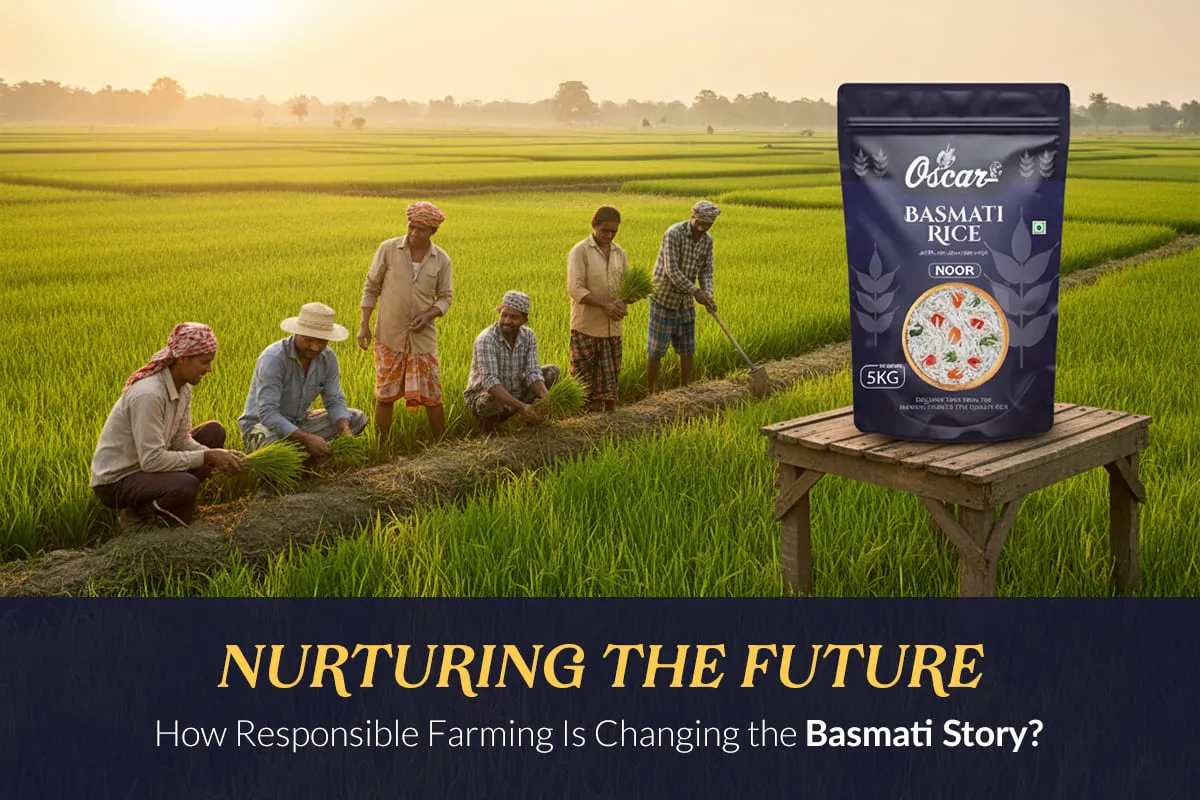 Nurturing the Future: How Responsible Farming Is Changing the Aromatic Basmati Rice Story?