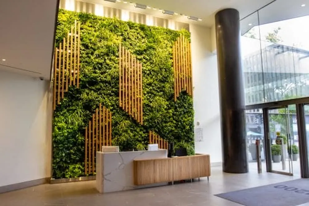 The Benefits of Installing a Living Green Wall in an Office
