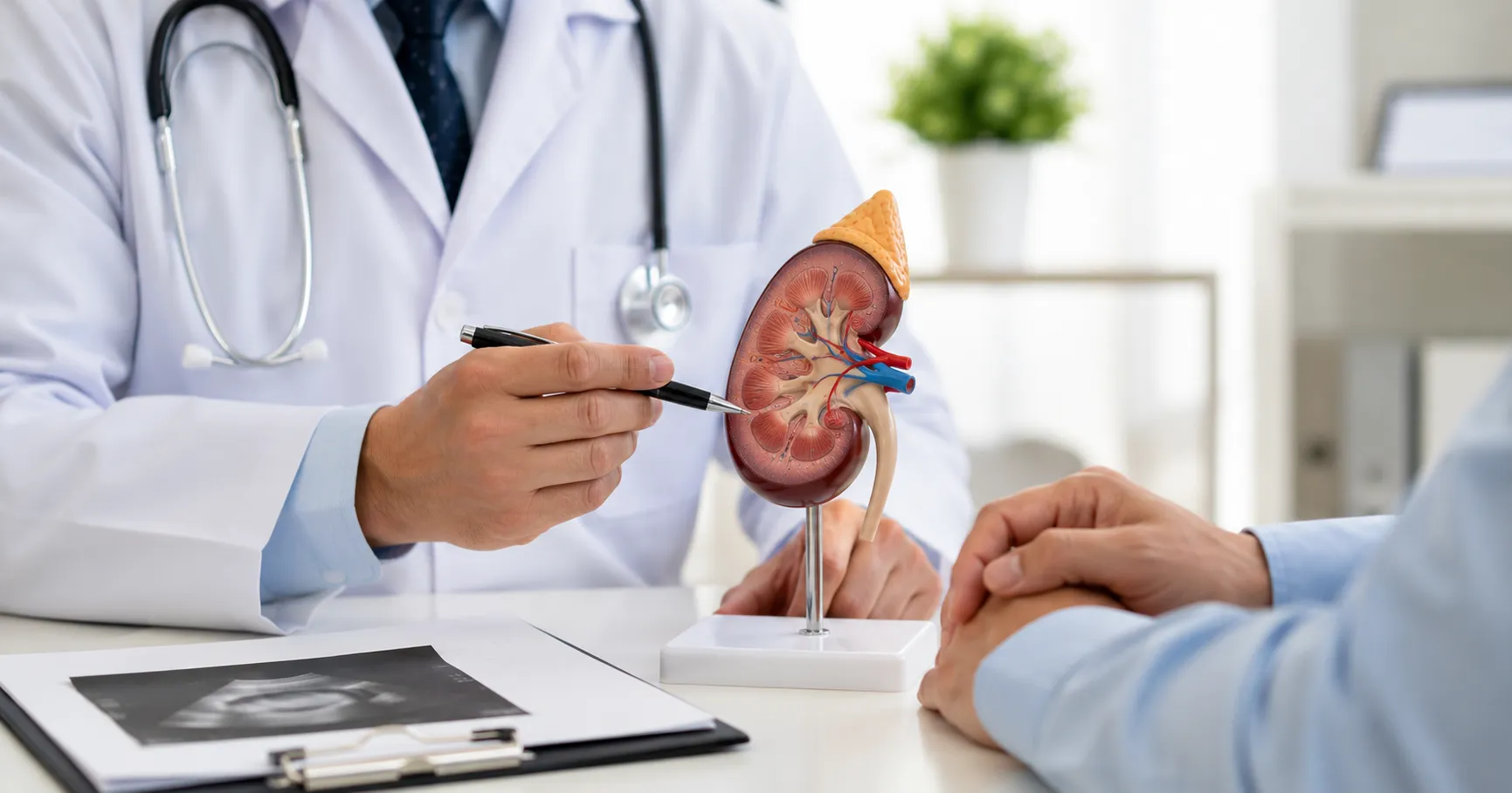 How to Choose the Best Kidney Specialist in Surat?