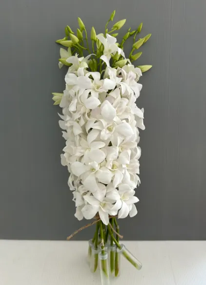 The Flower That Works in Every Setting — What Makes White Dendro Orchid the Most Requested Variety in Professional Floristry
