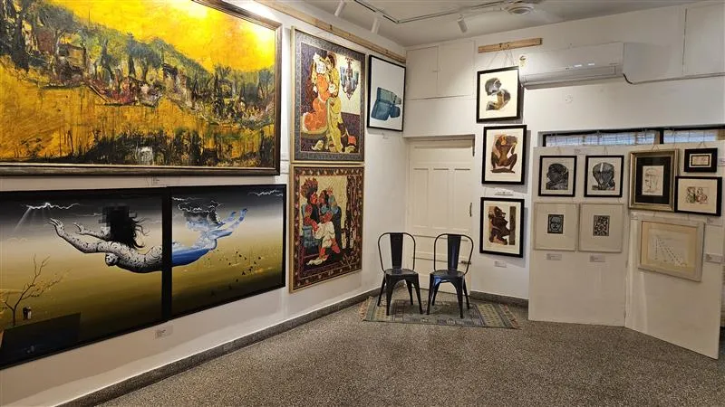 How Do Exhibitions Create Emotional Journeys for Viewers?
