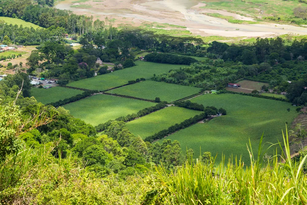 Vedic City Plots in Goa: A Guide for Buyers and Investors