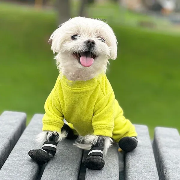 Are Dog Fleece Jackets Good for Mild Winter Weather?