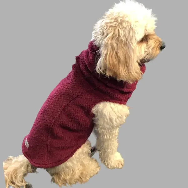 Are Dog Fleece Jackets Good for Mild Winter Weather?