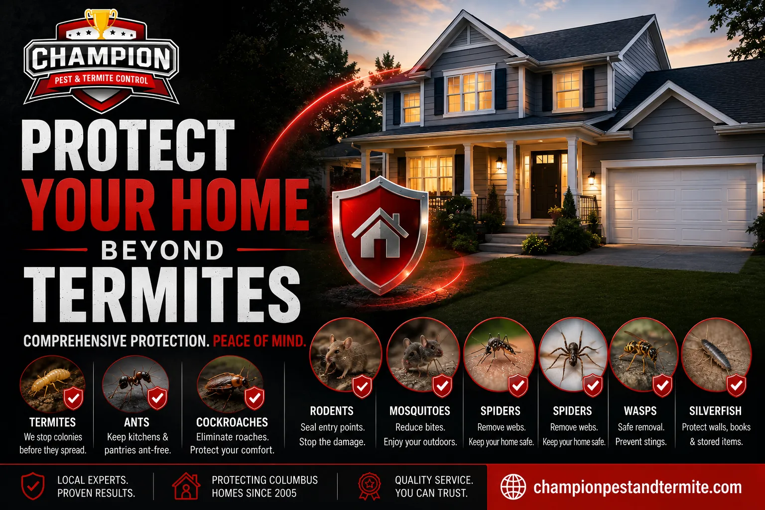 Is August the Best Time for a Termite Inspection in Columbus?