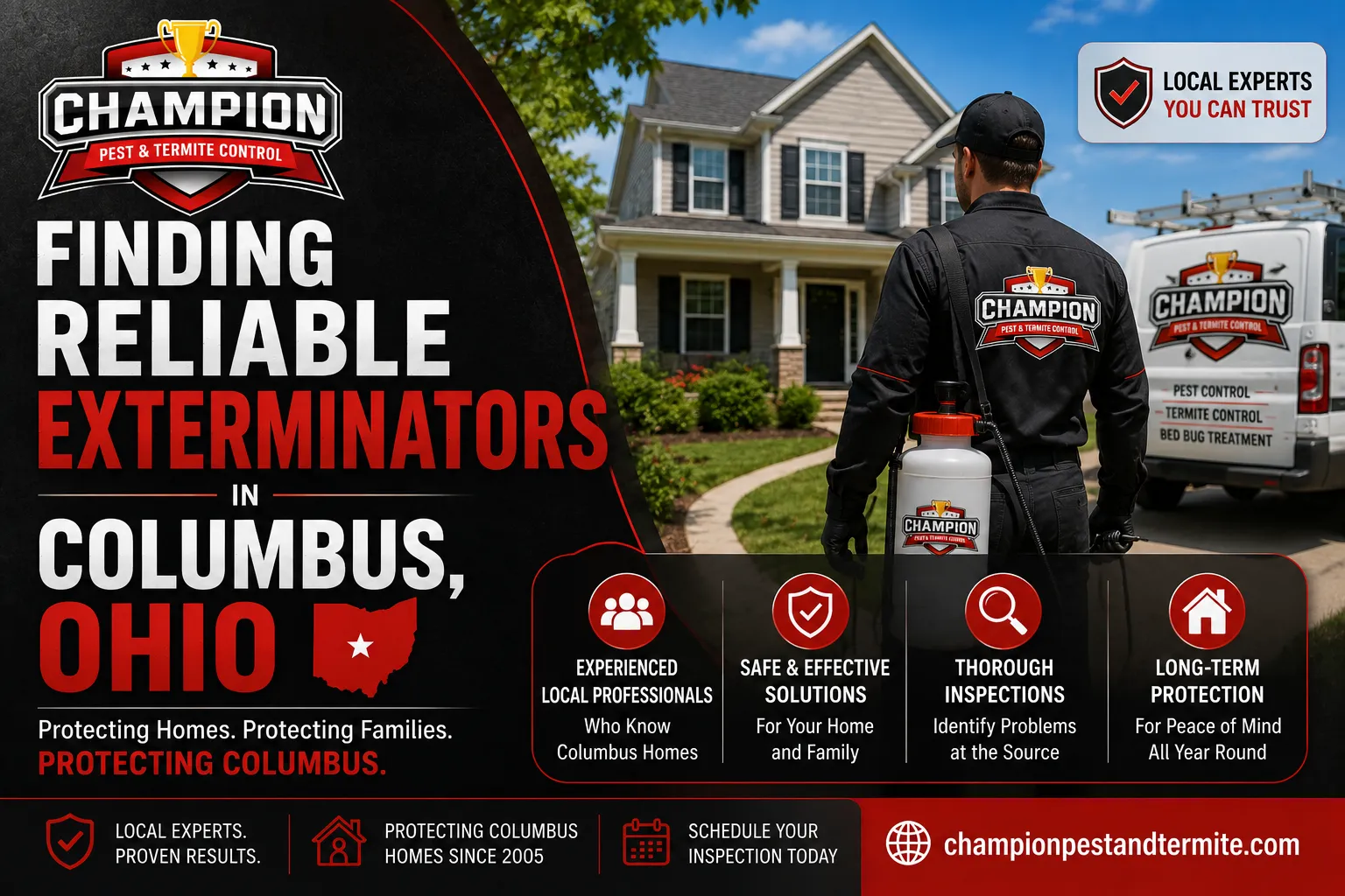Is August the Best Time for a Termite Inspection in Columbus?